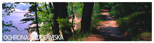 baner