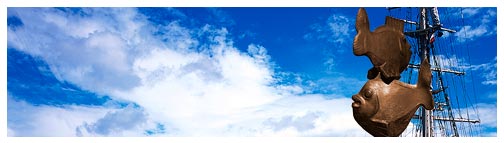 baner