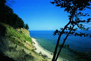Gdynia dla miłośników przyrody - zdjecia
