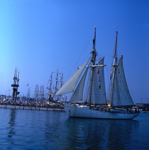 Gdynia kibicuje - zdjecia