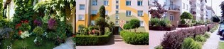 Gdynia w kwiatach - baner na stron� g��wn� 315x70