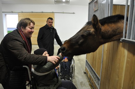 Otwarcie Gdyńskiego Ośrodka Hipoterapii - stajnia, fot. Dorota Nelke
