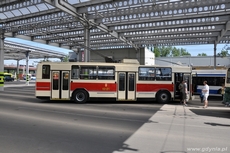 Najmłodszy z zabytkowych trolejbusów - Jelcz 120MTE z 1994 r. / fot. Michał Kowalski