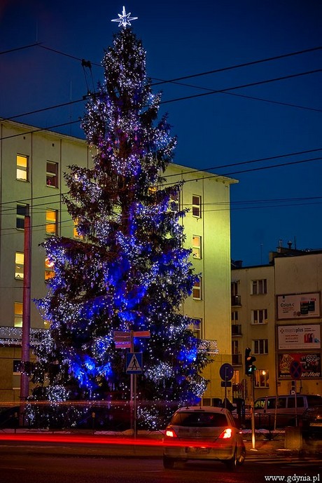 Świąteczna iluminacja Gdyni / fot. Marcin Kostrzyński