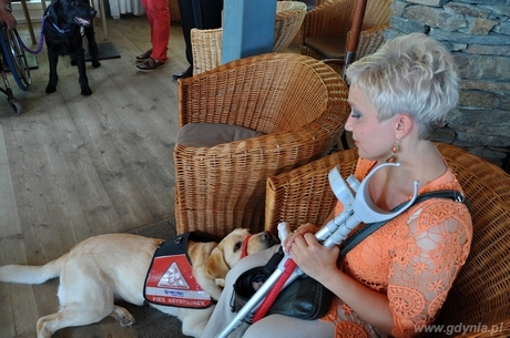 VECTRA przekazała kolejnego specjalistycznego psa, wyszkolonego do asystowania osobie poruszającej się o na wózku, fot. Dorota Nelke