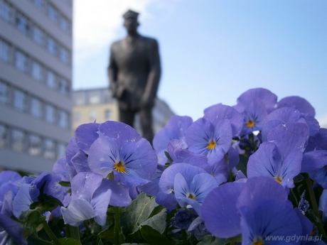 W konkursie Gdynia kwitnie wyróżniono zdjęcie Marta Burczyk - Kwiatki pana Abrahama
