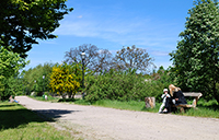 Park Kolibki Fot. Krzysztof Romański