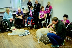 VI Gdyńskie warsztaty  dla osób niepełnosprawnych z psami asystującymi, fot. Tomasz Lenik