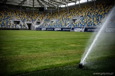 Murawa na Stadionie Miejskim w Gdyni, fot. GCS