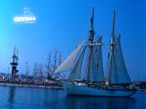 Gdynia - Wygaszacz 2