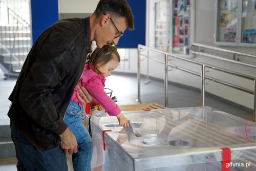 Lokal wyborczy, hol szkoły w Gdyni, widoczna przezroczysta urna, mężczyzna trzyma dziewczynkę, wrzucają wspólnie głos do urny