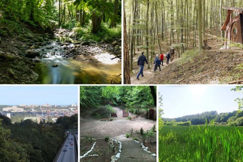 Te leśne miejsca w Gdyni po prostu trzeba znać! Na zdjęciach m.in. (od górnego lewego rogu) rezerwat Kacze Łęgi, szlaki w LOB Marszewo, widok z kładki nad trasą Kwiatkowskiego, Święta Góra i rozlewiska niedaleko Źródła Marii (fot. archiwalne z facebookowej grupy „Gdynia w obiektywie”)