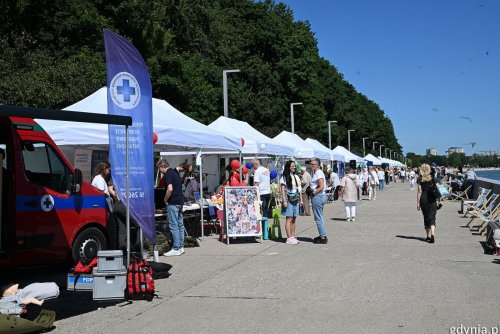 Trzeci sektor codziennie zmienia Gdynię. Na zdjęciu Gdyński Piknik Pozarządowy. (fot. Michał Puszczewicz)