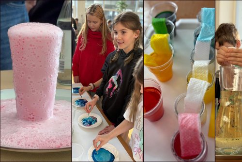 Szkolny Festiwal Nauki w Gdyni. Na zdjęciu prezentacje w SP 21 (fot. SP 21)