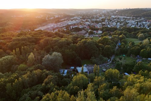 Jedną z przyczyn obecności dzików w Gdyni jest bliskość Trójmiejskiego Parku Krajobrazowego (fot. Michał Puszczewicz)