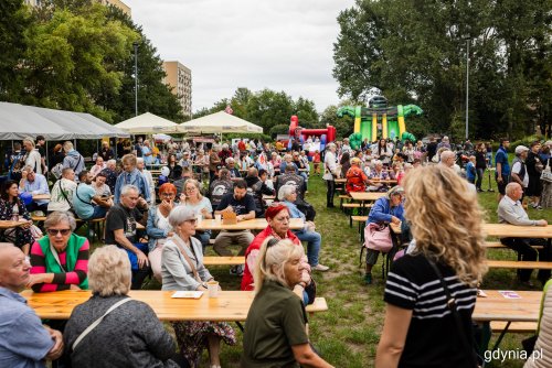 Festyn międzypokoleniowy w Parku Kilońskim. (fot. Karol Stańczak)