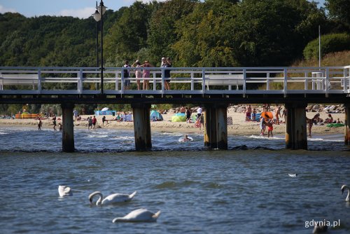 Pogoda zachęca do plażowania na czterech gdyńskich strzeżonych kąpieliskach (fot. Przemysław Kozłowski)