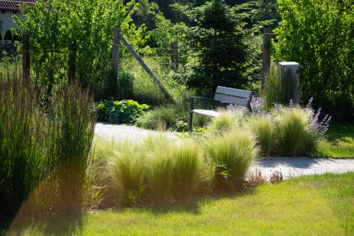 Wydział Ogrodnika Miasta odpowiada za nadzór nad drzewami, krzewami i innymi terenami zielonymi w mieście (fot. Dorota Matejczyk / archiwum)