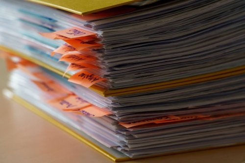 Zmiany w projekcie uchwały, jak i dokument w całości, został zaakceptowany w tym kształcie przez prezydent Gdyni i skierowany na sesję RM 22 października (fot. archiwum LIS)