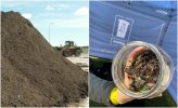 Kompost z Eko Doliny (z lewej, fot. Eko Dolina) i produkcja kompostu na warsztatach Wydziału Środowiska UM Gdynia i fundacji Alter Eko podczas wydarzenia 