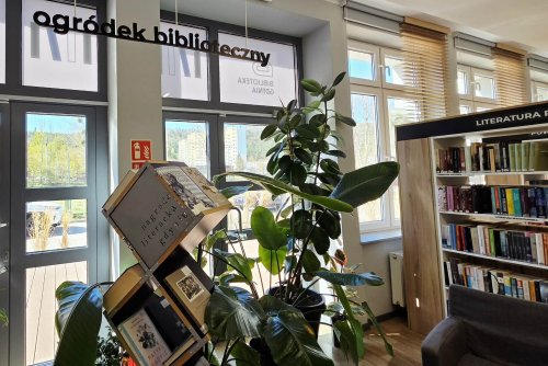 Ogród biblioteczny w sercu Cisowej (Fot. Dorota Patzer)