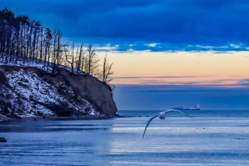Zdjęcie z naszej facebookowej grupy „Gdynia w obiektywie