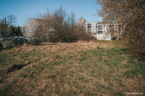 W tym miejscu powstanie nowy plac zabaw przy ul. Makuszyńskiego (fot. Marcin Mielewski, Zarząd Dróg Miejskich)