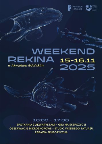 Weekend Rekina