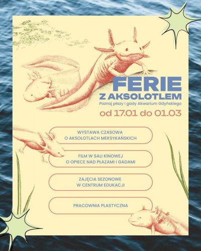 Ferie z aksolotlem. Poznaj płazy i gady Akwarium Gdyńskiego 