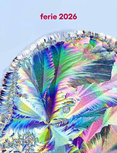 Ferie 2026 w CN Experyment. Warsztaty dla grup zorganizowanych