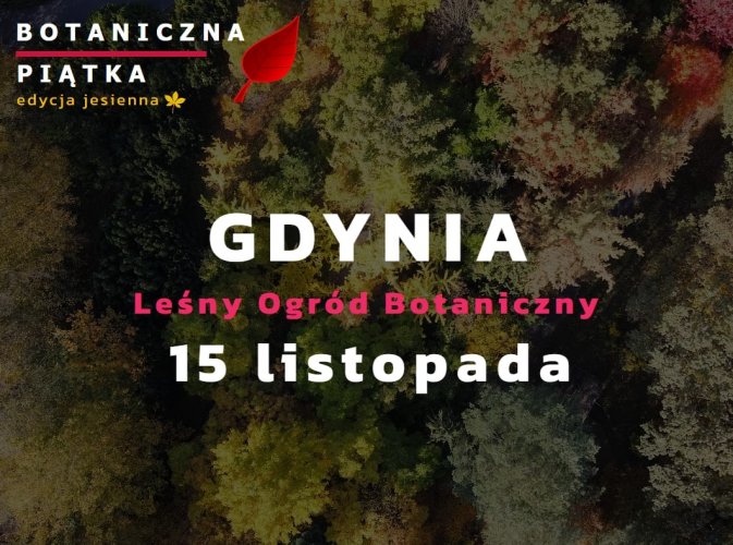 Botaniczna Piątka w Gdyni - edycja jesienna