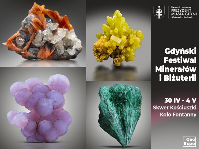 Gdyński Festiwal Minerałów, Biżuterii i Skamieniałości (mat. organizatora)