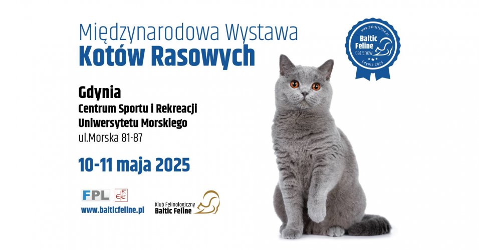 Międzynarodowa Wystawa Kotów Rasowych w Gdyni