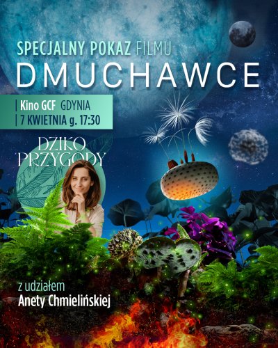 Kino Przyjazne Sensorycznie | Dmuchawce | Pokaz przedpremierowy