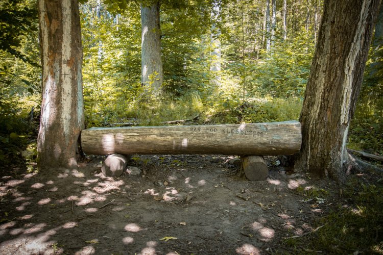 Wakacje z Muzeum: Dzieło zdębiało! – warsztaty rzeźbiarskie
