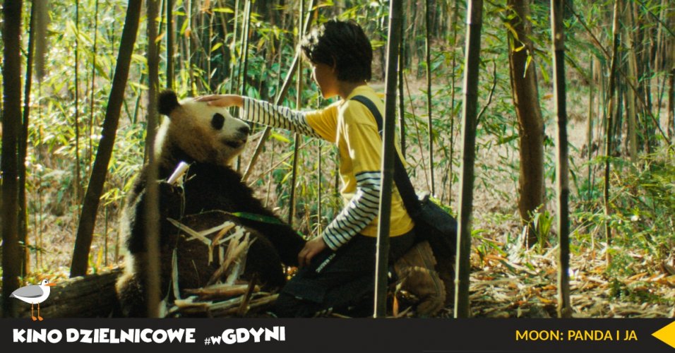 Kadr z filmu "Moon: Panda i ja". Chłopiec głaszcze pande w dżungli.