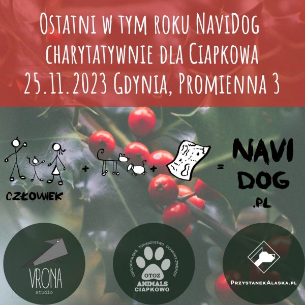 NaviDog - charytatywnie dla Ciapkowa 