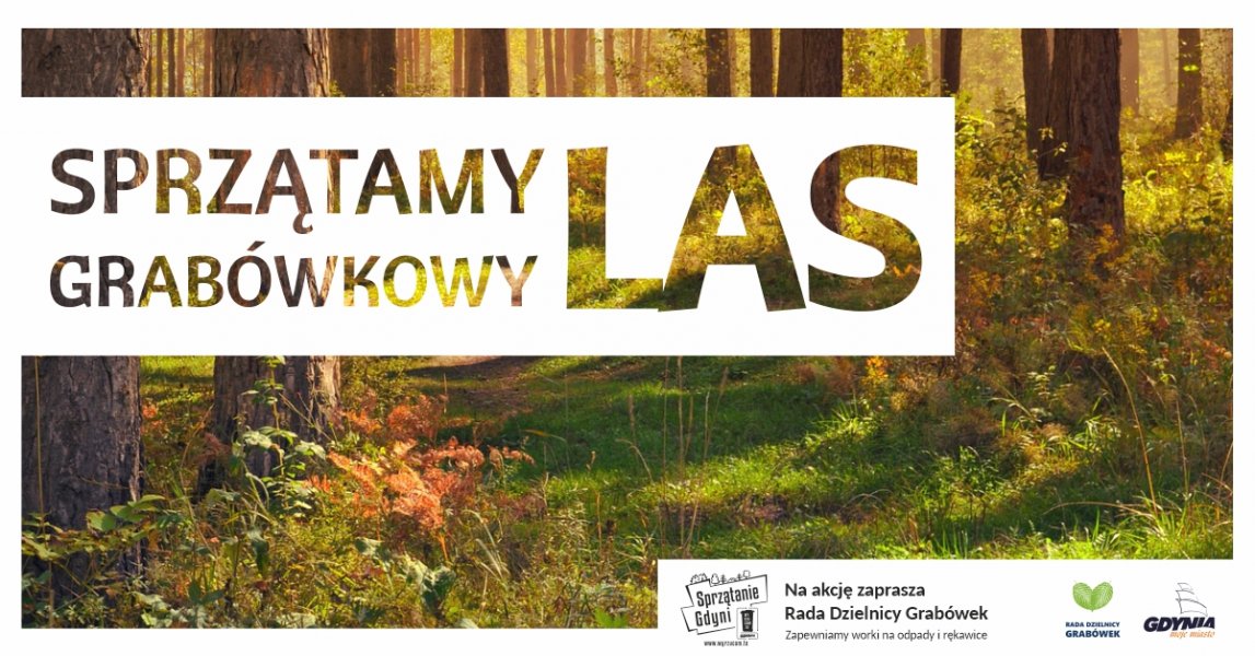 Sprzątamy Grabówkowy Las