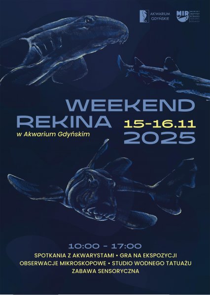 Weekend Rekina