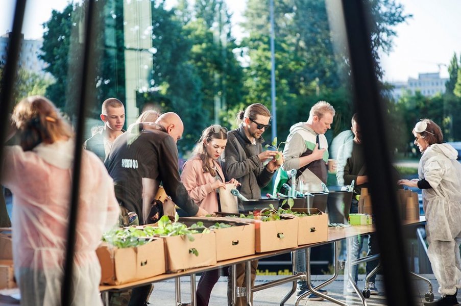 Latem Muzeum przesadza! - społeczno-botaniczne witanie wakacji // mat. muzeumgdynia.pl