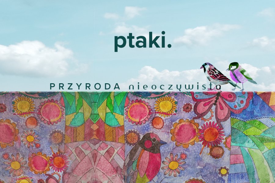 Przyroda nieoczywista-  ptaki. Spotkanie z ptakami morskimi w Gdyni