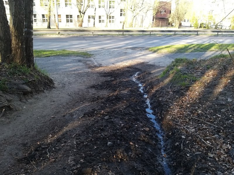 Święta Góra - od kapliczki po fermę lisów - spacer online 7.05.2020