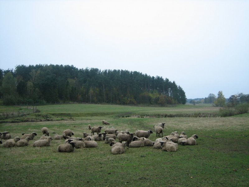 Chwarzno i Wiczlino - legendy, gawędy, fakty