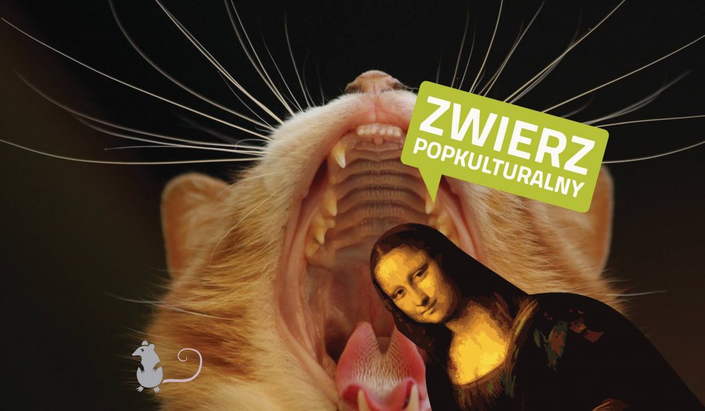 Zwierz Popkulturalny: Jak być przyzwoitym w Internecie
