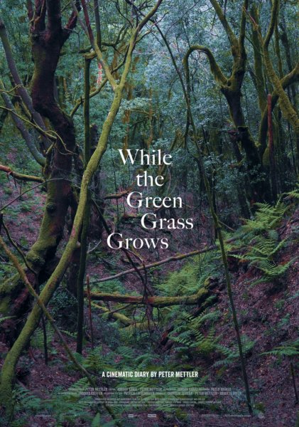 21. MDAG: Trawa jest bardziej zielona tam, gdzie nas nie ma (While The Green Grass Grows)