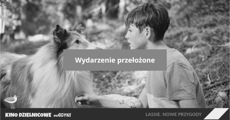 mat. promujące film 