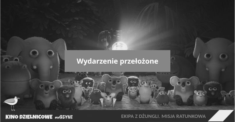 mat. promujące film 