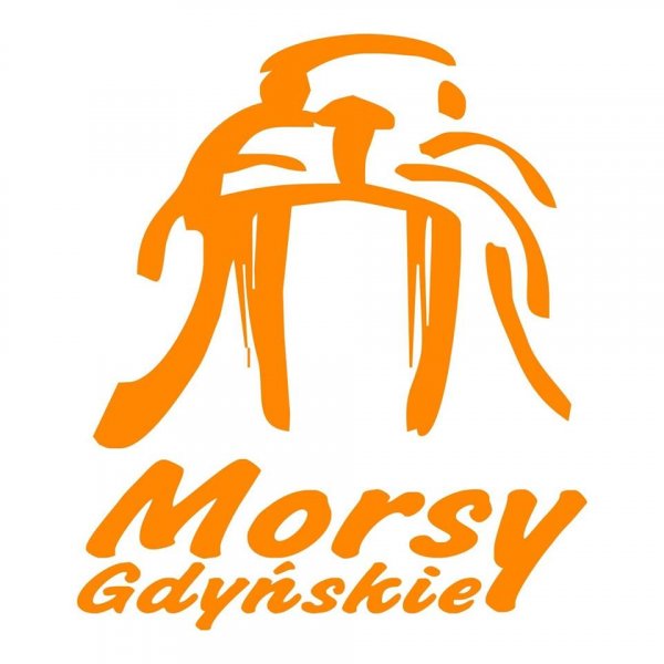 Kąpiel gdyńskich morsów