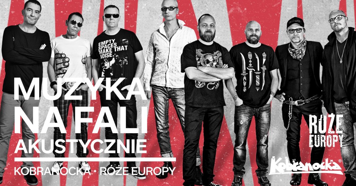 Kobranocka - baner