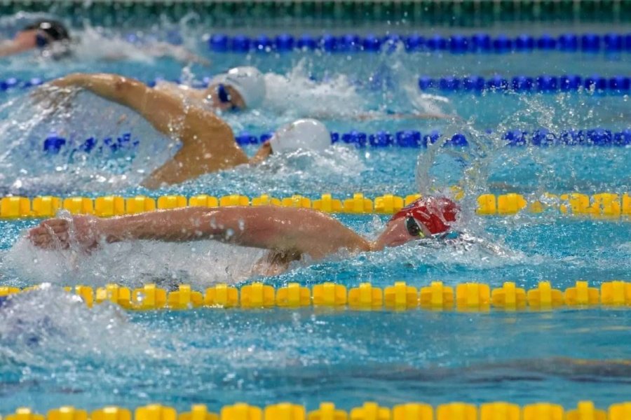 XI Ogólnopolskie zawody pływackie „Gdyńskie Delfinarium” (fot. gdyniasport.pl)